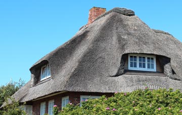 thatch roofing Leoch, Angus